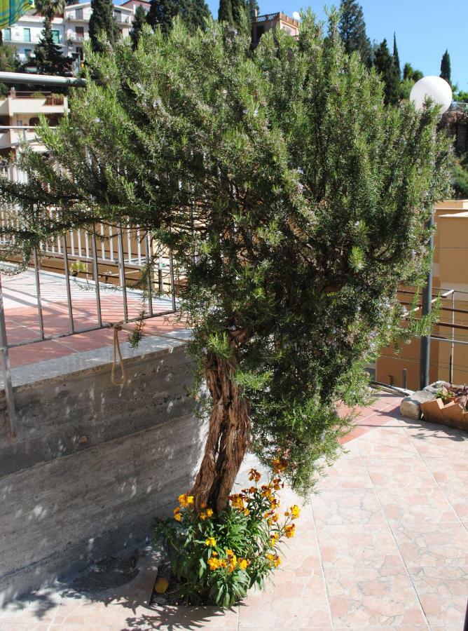 Il Rosmarino Apartment Taormina Exterior photo